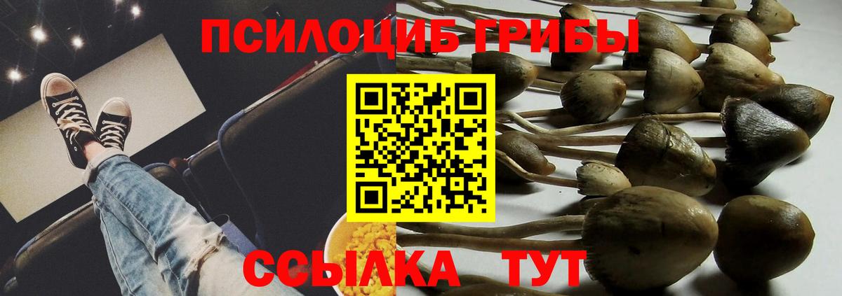 Вязники  Галлюциногенные грибы MAGIC MUSHROOMS  Вход с VPN 