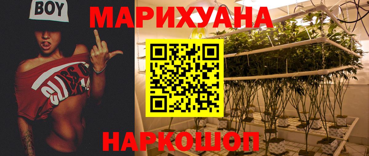 Конопля сатива  Канабис гибрид  Вязники  Вход с VPN  Каннабис Ganja  Бошки марихуана тримм 